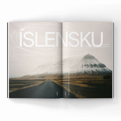 Wasted Talent Magazine Vol XII & Wasted Talent Tote Bag