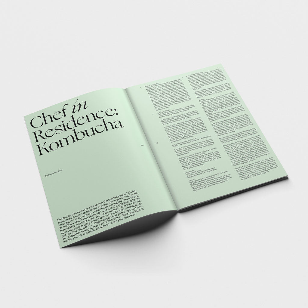 Wasted Talent Magazine Vol VIII & Wasted Talent Tote Bag